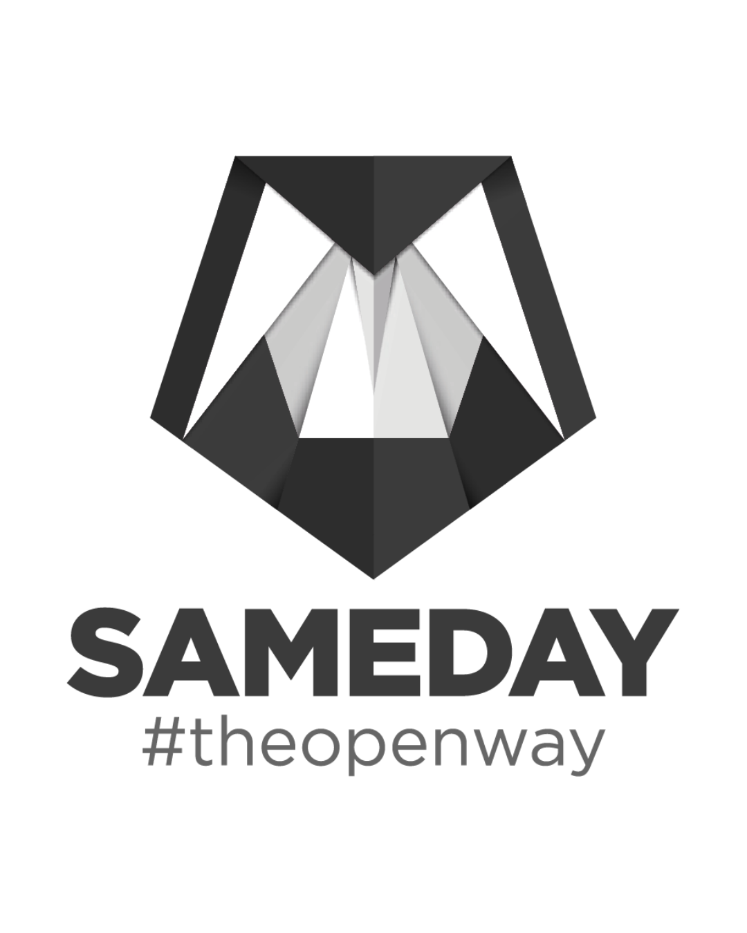 Sameday – 350K+ гледания и органичен растеж в TikTok за 7 месеца